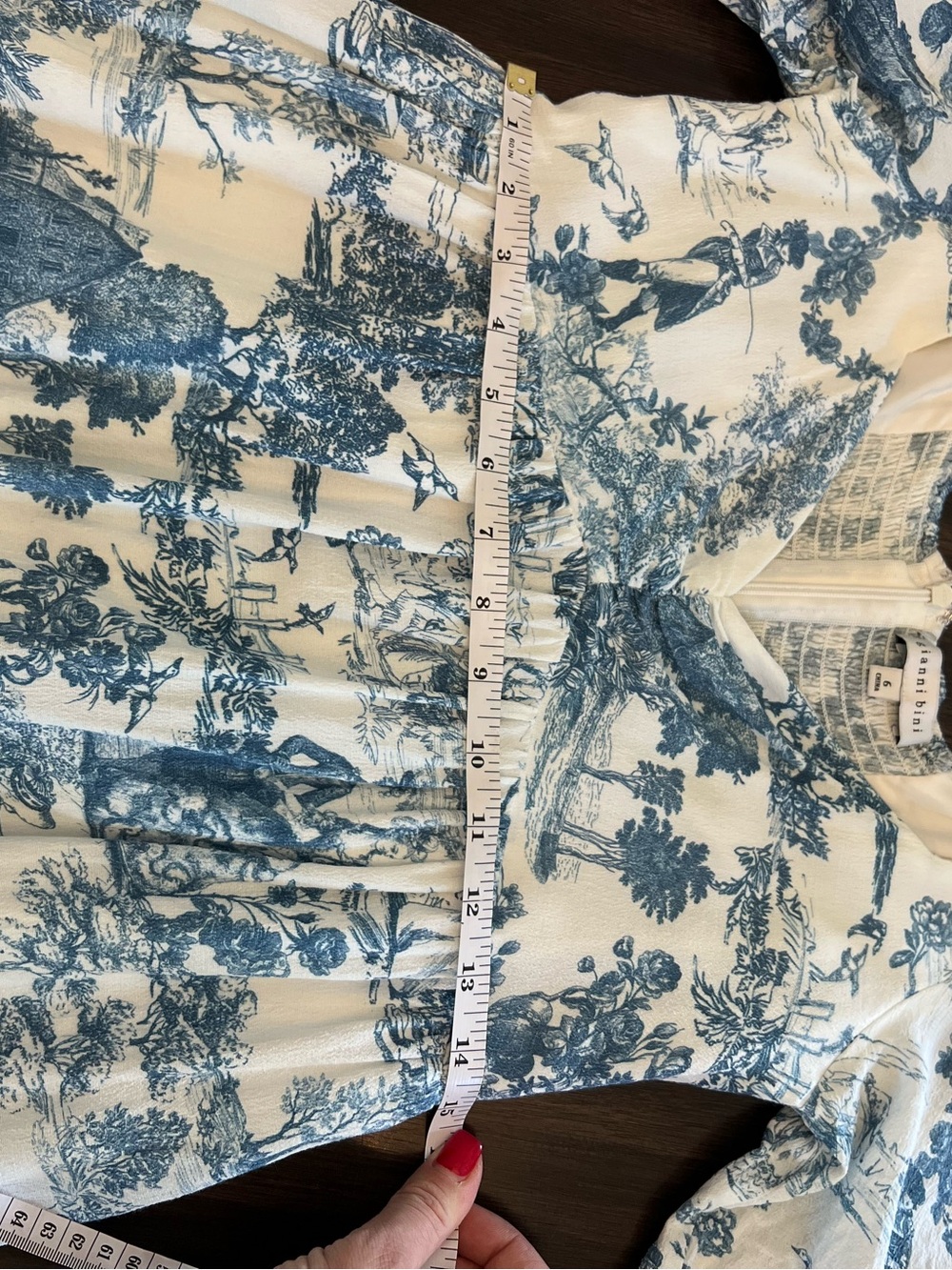 Gianni Bini Blue and White Toile Mini Dress - Picture 7 of 7